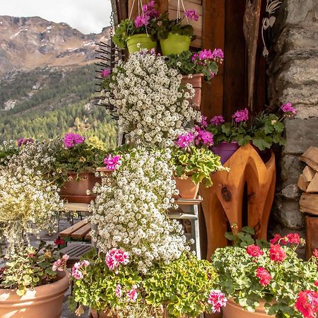 Hotel & Restaurant Perret - Mountain People Valgrisenche Dış mekan fotoğraf