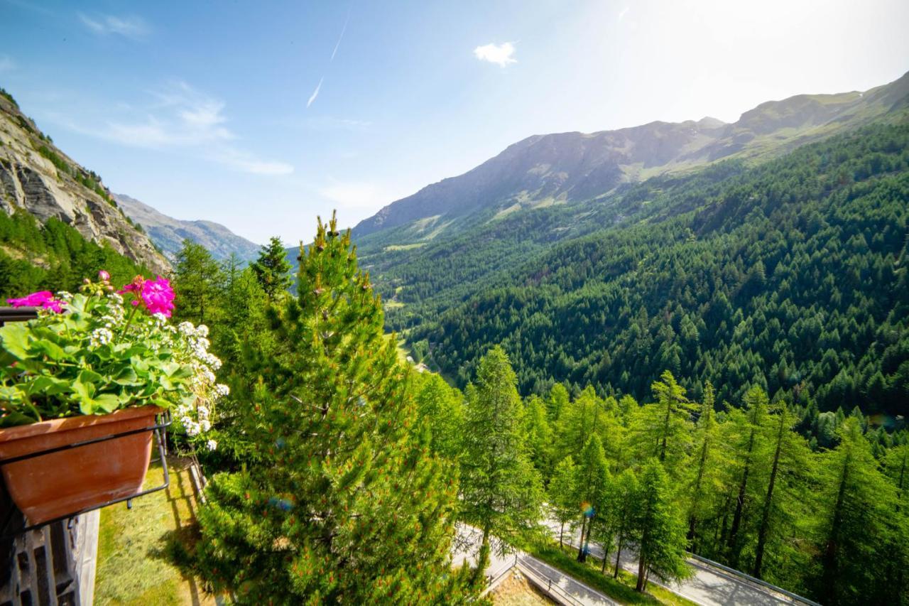 Hotel & Restaurant Perret - Mountain People Valgrisenche Dış mekan fotoğraf